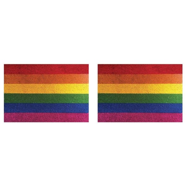 2PK Solemate PVC Backed Coconut Coir Rainbow Slimline Functional Doormat 45x75cm