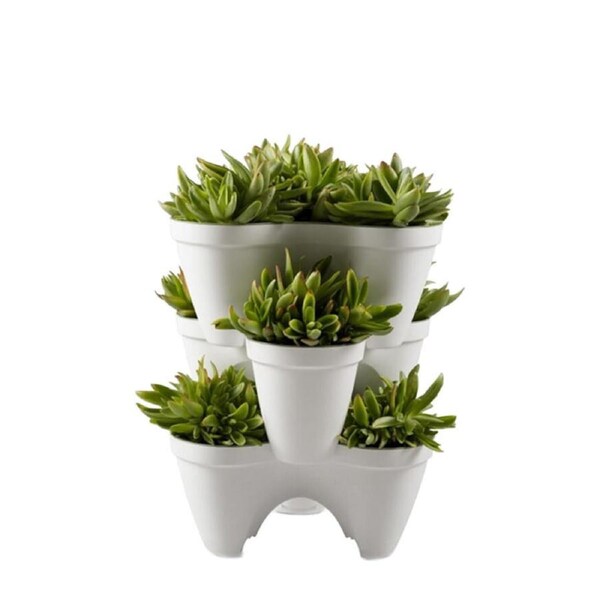 Keter Ivy Planter - White / Green - 3 Pack