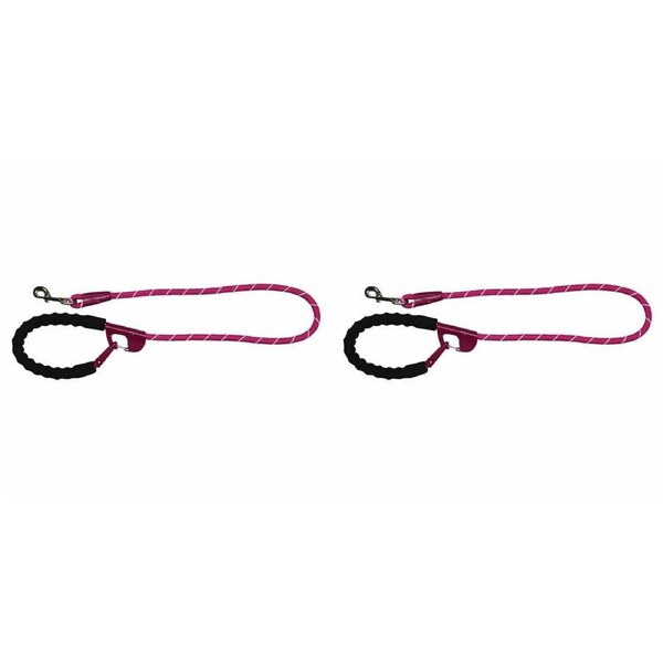 2PK Annabel Trends Sturdy Easy Locking Snap & Stay Secure Dog/Pet Leash Fuschia