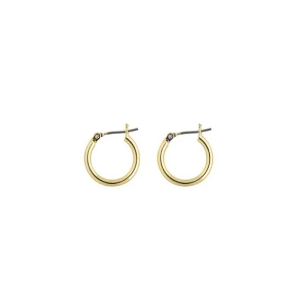 Rossan Fe4300 Hoop Plain 15Mm Go