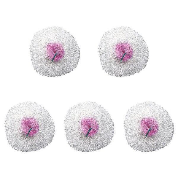 5PK Companion Gas Lantern Mantle D2 Double Tie Camping/Hiking Accessory Large