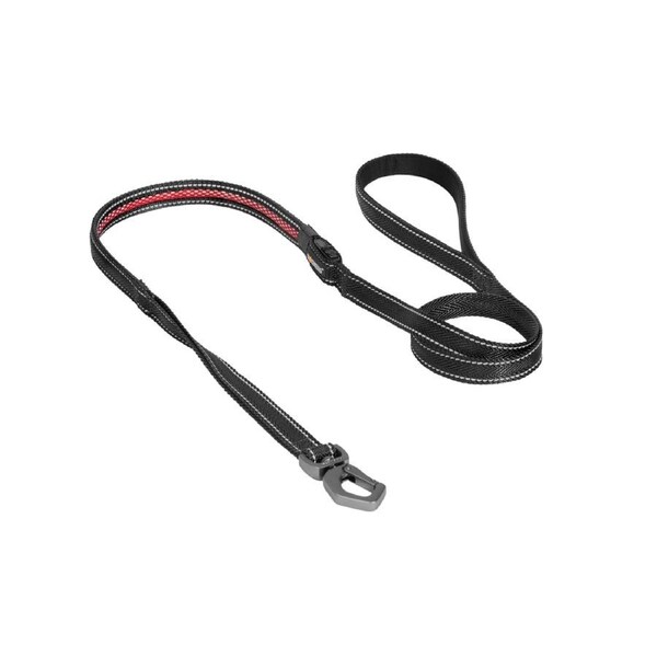 Dogness LED Glowing Series Leash - Black Lge