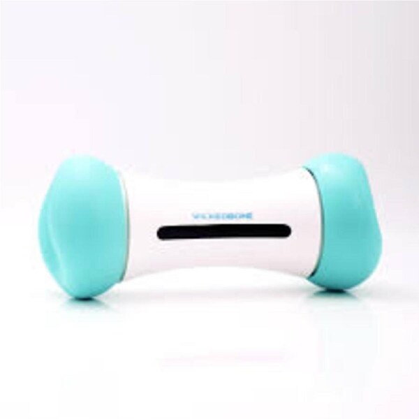 Cheerble Wickedbone SE Mint