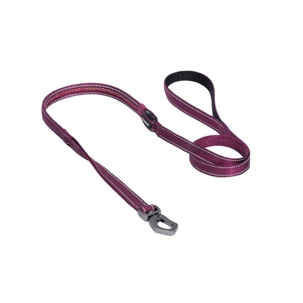 Dogness LED Glowing Series Leash - Purple Lge