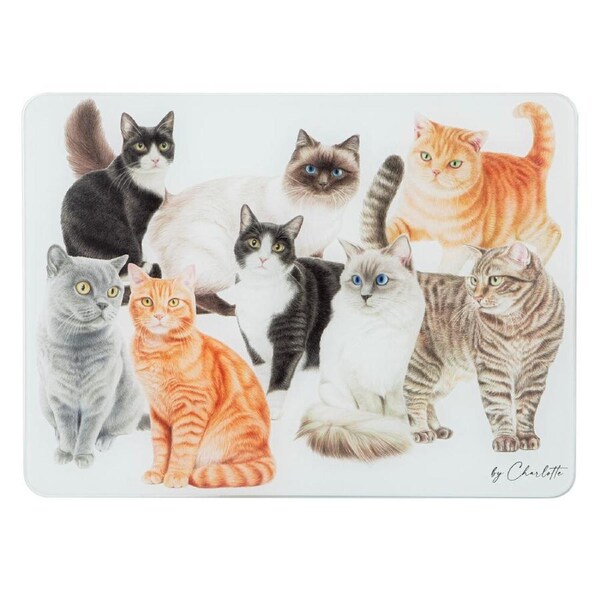 Ashdene Purrrfect Moments Surface Protector Placemat Rectangle 30x40cm White