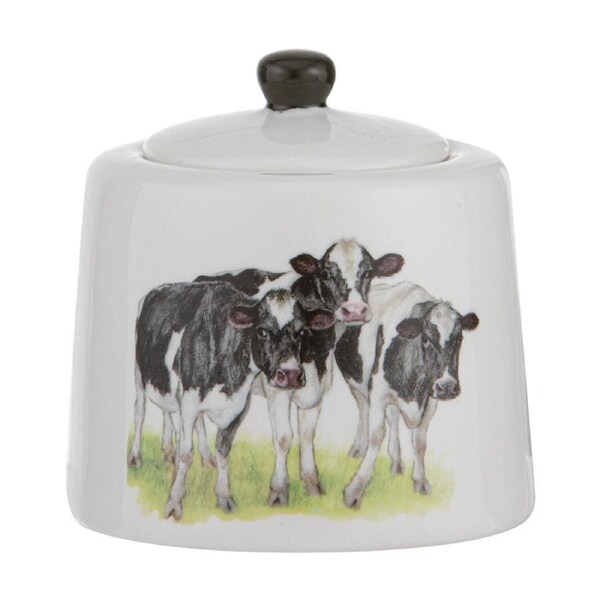 Ashdene Meet The Girls Sugar Bowl Container/Storage w/ Lid Serveware 10x9cm