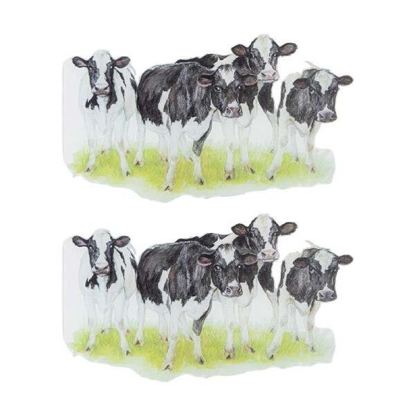 2PK Ashdene Meet The Girls Placemat Table Surface Protector Serveware 30x40cm