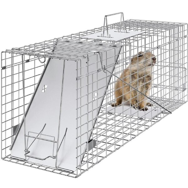 Live Animal Cage Trap, 31" x 10" x 12" Humane Cat Trap Galvanized Iron, Folding Animal Trap with Handle for Rabbits, Stray Cats, Squirrels, Raccoons, Groundhogs and