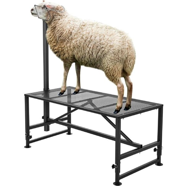 Goat & Sheep Stand, 47x23 inch Livestock Stand, Metal Livestock Milking and Shearing Stand 21" to 33" Adjustable Height, with Headpiece and Nose Loop, 500lbs Loading Weight,