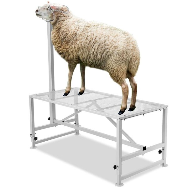 Goat & Sheep Stand, 47x23 inch Livestock Stand, Metal Livestock Milking and Shearing Stand 21" to 33" Adjustable Height, with Headpiece and Nose Loop, 500lbs Loading Weight,