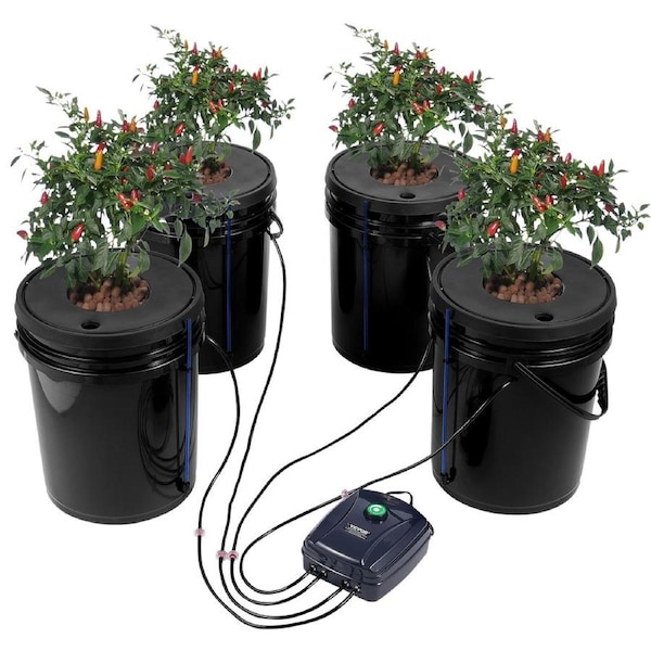 DWC Hydroponics Grow System Deep Water Culture 4 Buckets with Air Pump