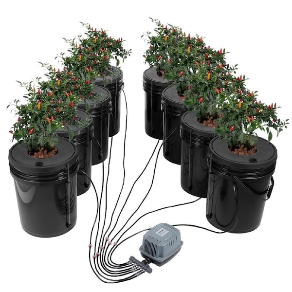 DWC Hydroponics Grow System Deep Water Culture 8 Buckets with Air Pump