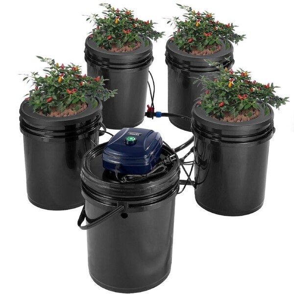 RDWC Hydroponics System Recirculating Deep Water Culture 4 Buckets 20L