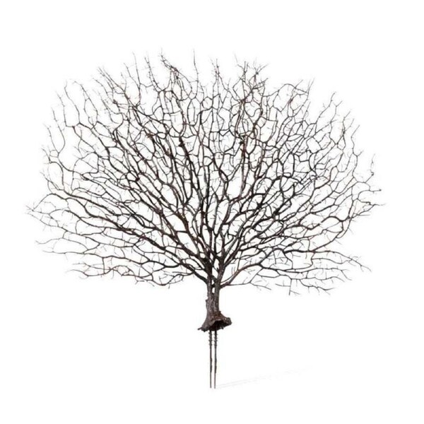 E Style Artificial 48cm Plastic Coral Fan Sea Plant Fake Faux Decor Brown