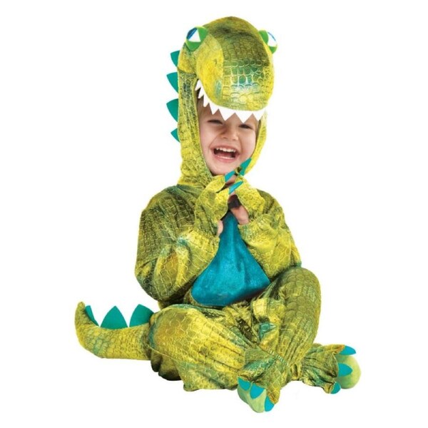 Baby Roar Child Costume Size 2-3 Years