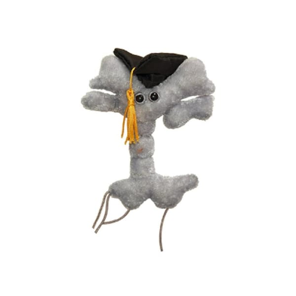 Giant Microbes Graduation Brain Cell Human Biology Plush Stuffed Toy Grey