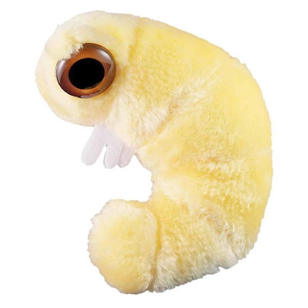 Giant Microbes Bookworm Human Biology Soft Plush Cuddle Stuffed Toy Yellow