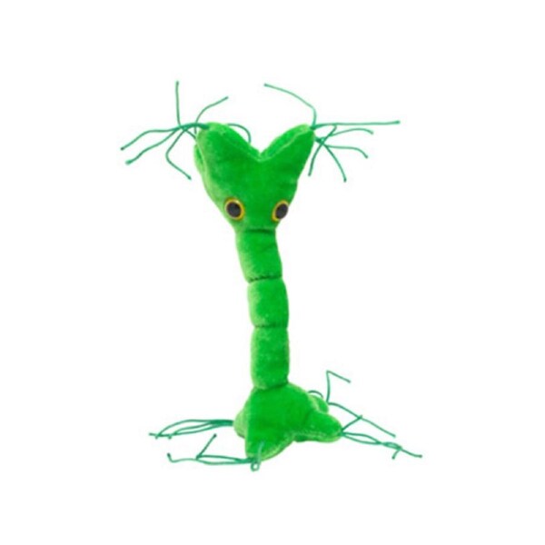 Giant Microbes Nerve Cell Human Biology Soft Plush Cuddle Stuffed Toy Green
