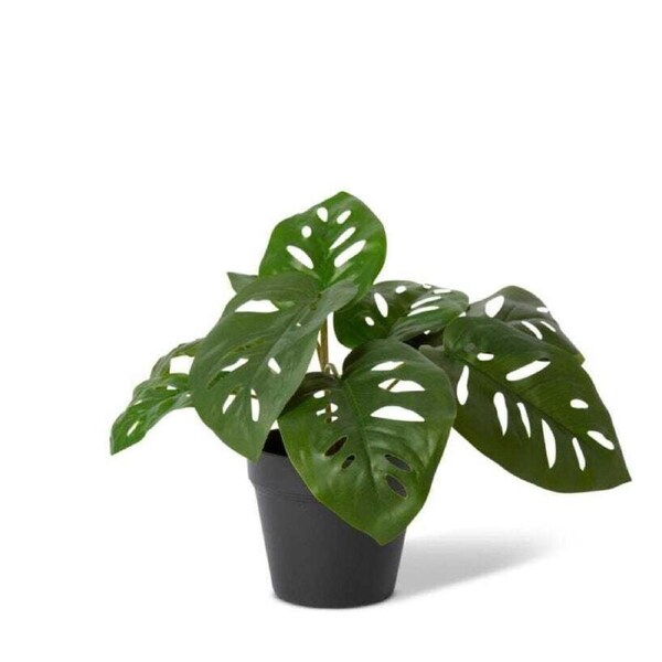 E Style 38cm Swiss Cheese Artificial Potted Plant Fake/Faux Home Decor Green