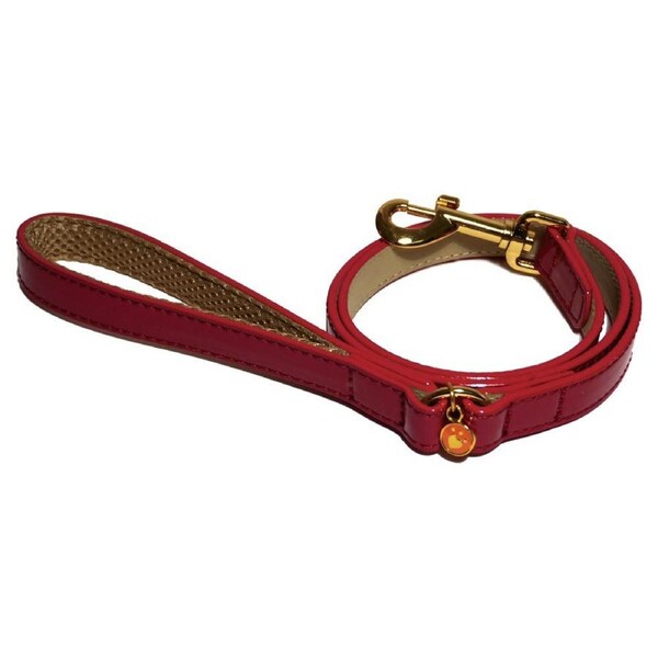 Rosewood Cherry 102cm Leather Pet/Dog Lead Training/Walking Animal Leash S Red