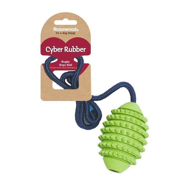 Rosewood 60cm Rugby Ball/Rope Pet Dog Non-Toxic Training Toy Small Assorted