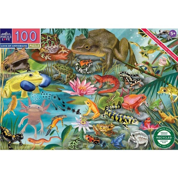100pc eeBoo Jigsaw Puzzle Love of Amphibians 45x68cm Educational Game 5+