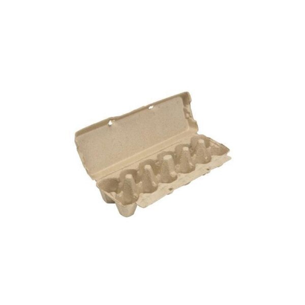 24pc Jasart 12-Egg Holder Carton Tray 31x24cm School Art/Craft Activity Natural