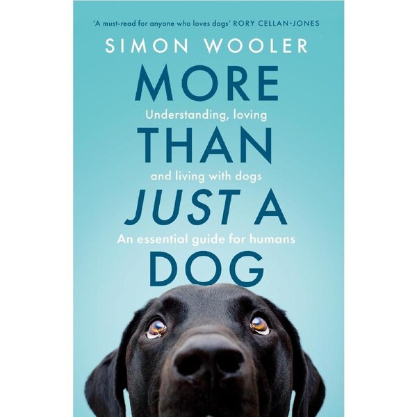 More Than Just a Dog