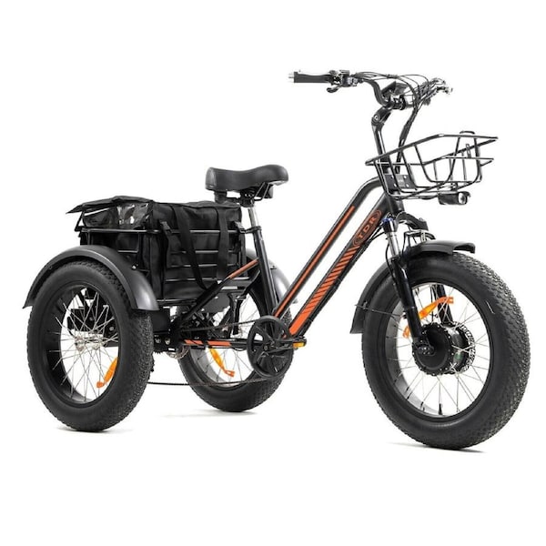 TDR Electric Fat Tire Tricycle 750W 48V 18.2AH Lithium Battery 20x4.0 Inch three Wheels