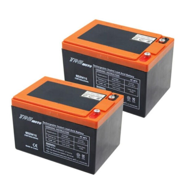 TDR 2pcs 6DZM15 12V 15Ah AGM Deep Cycle Battery for Buggy