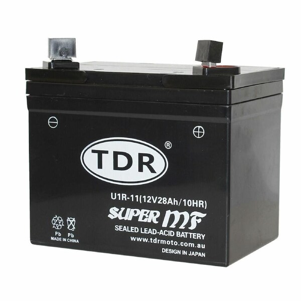 TDR 12V 28AH U1-R11(GEL) 300CCA AGM GEL Battery: for Garden Lawn Mower, Ride-On Lawnmower, Small Engines, Personal Watercraft, Garden Tractors, Generators, and Specialist Applications