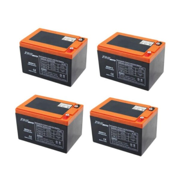 TDR 4pcs 6DZM15 12V 15Ah AGM Deep Cycle Battery For Wheel Chair Buggy