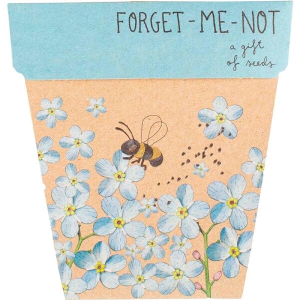 Sow 'n Sow Gift of Seeds Forget Me Not