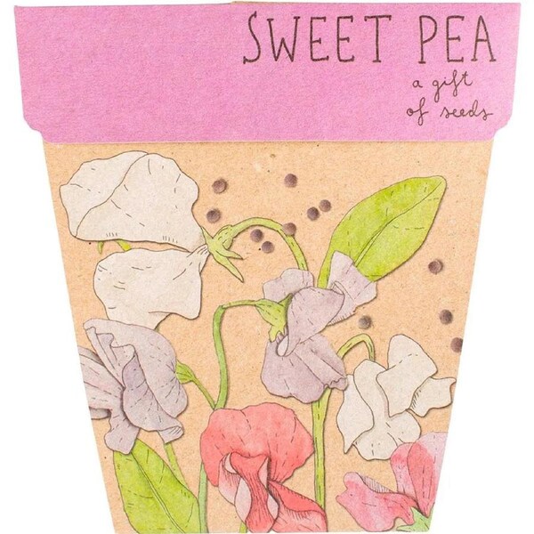 SOW 'N SOW Gift Of Seeds Sweet Pea 1