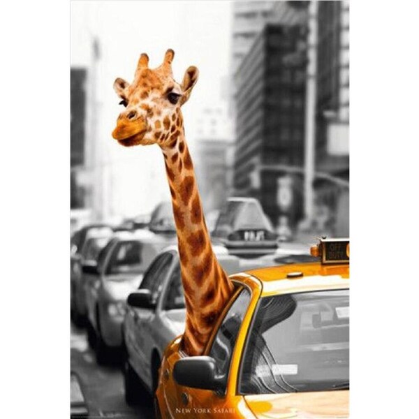 Impact Merch Giraffe Nyc Taxi Cab Poster Home/Room Wall Decor Display 91x61cm