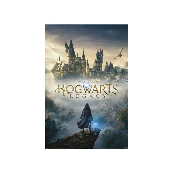 Wizarding World Harry Potter Hogwarts Legacy Poster Room Wall Decor 91x61cm