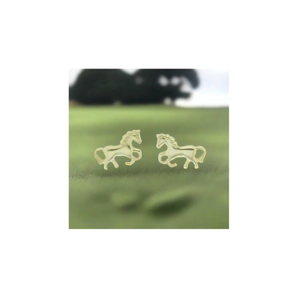 Rossan Gold Pony Fe4405