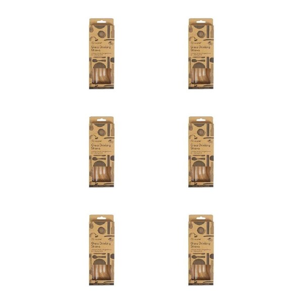 30pc Topchef Re-Usable Glass Drinking Juice/Liquid Angled Straws & Brush Clear