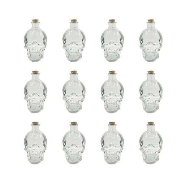 12PK Glass & Co Medium Glass Skull Wine/Whiskey Drinking Bottle Clear 380ml