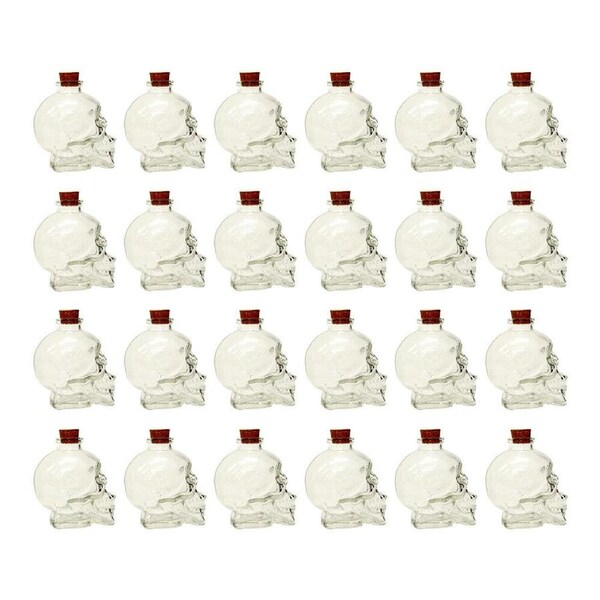 24PK Glass & Co Small Glass Skull Wine/Whiskey Drinking Bottle Clear 180ml