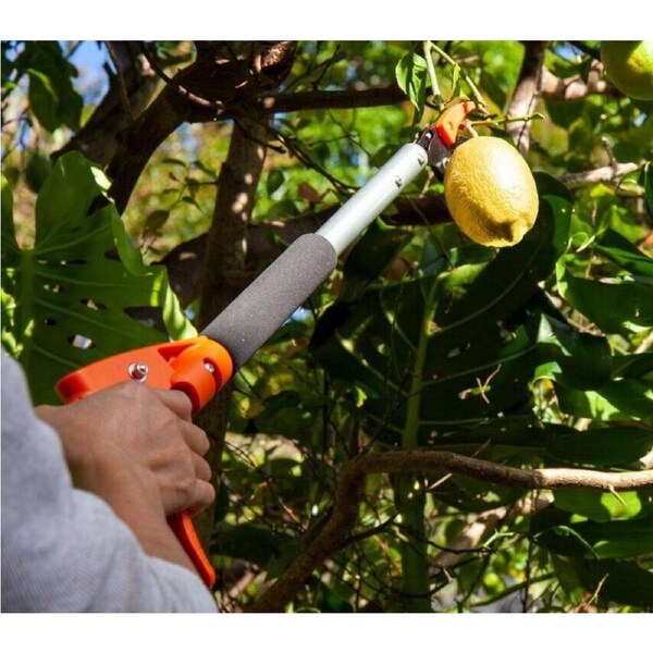 Fruit Picking Apron & Shears – Harvest Ripe Produce with Ease