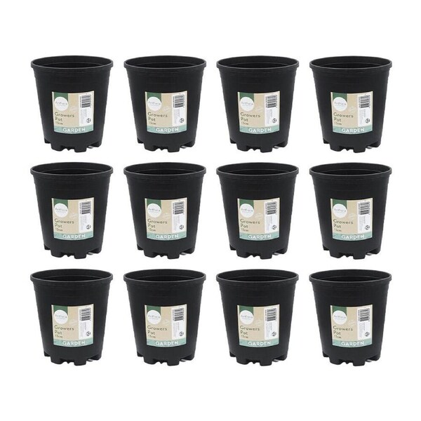 12PK Antheia Green Homewares Growers Black Pot Plant Container Plastic 13cm