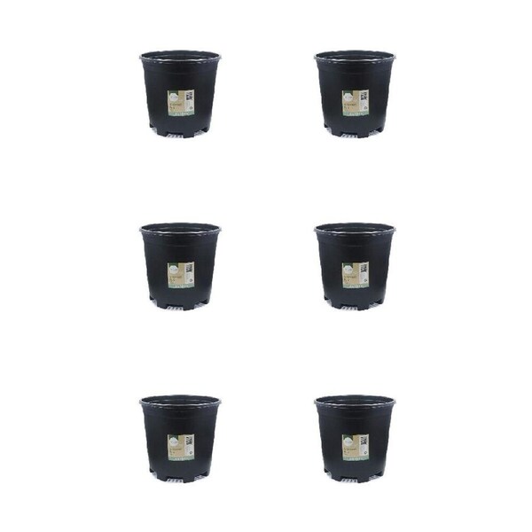 6PK Antheia Green Homewares Plastic Growers Pot Plant Container Black 22cm