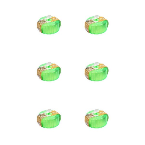 6PK Dudley's World Of Pets Medium Pet Exercise Wheel Rat/Hamster Play Toy Green