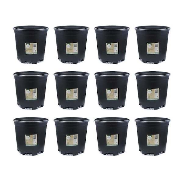 12PK Antheia Green Homewares Plastic Growers Pot Plant Container Black 22cm