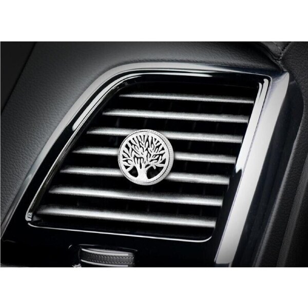 2x Car Vent Scent Clip Fragrance Holder for Diffuser, Essential Oils & Perfume