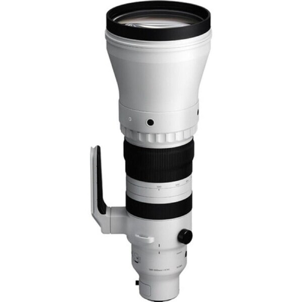 Sigma 300-600mm f/4 DG OS Sports Lens (L-Mount)