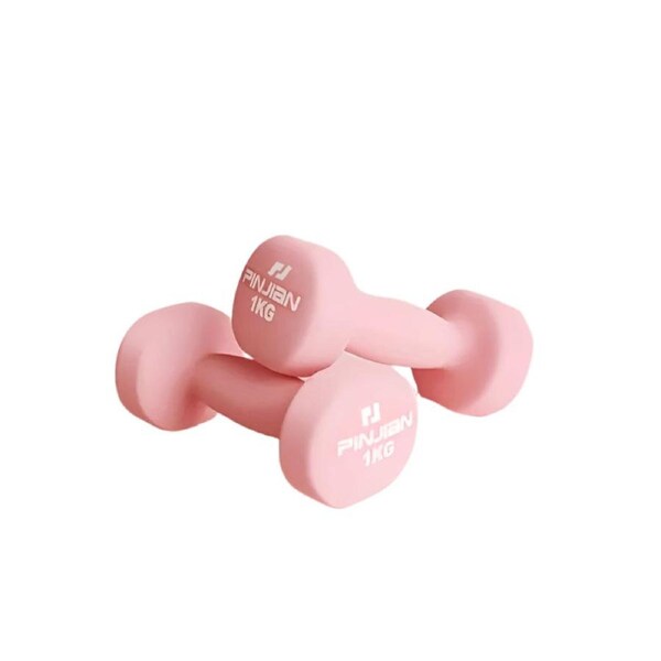2PCS Easy-Grip Dumbbells – Basic Hand Weights for Strength Training & Exercise