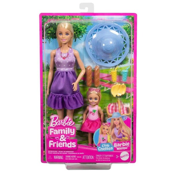 Barbie Family and Friends Club Chelsea Barbie Malibu Sister Picnic