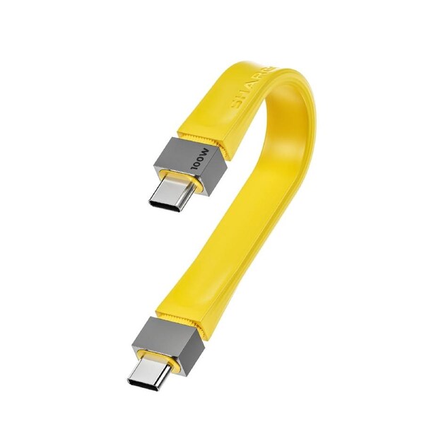 Sharge100w PD and 10gb Data USB-Type C Cable